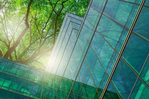 Moderne Glasgebäude mit Spiegelung von Bäumen im Sonnenlicht.