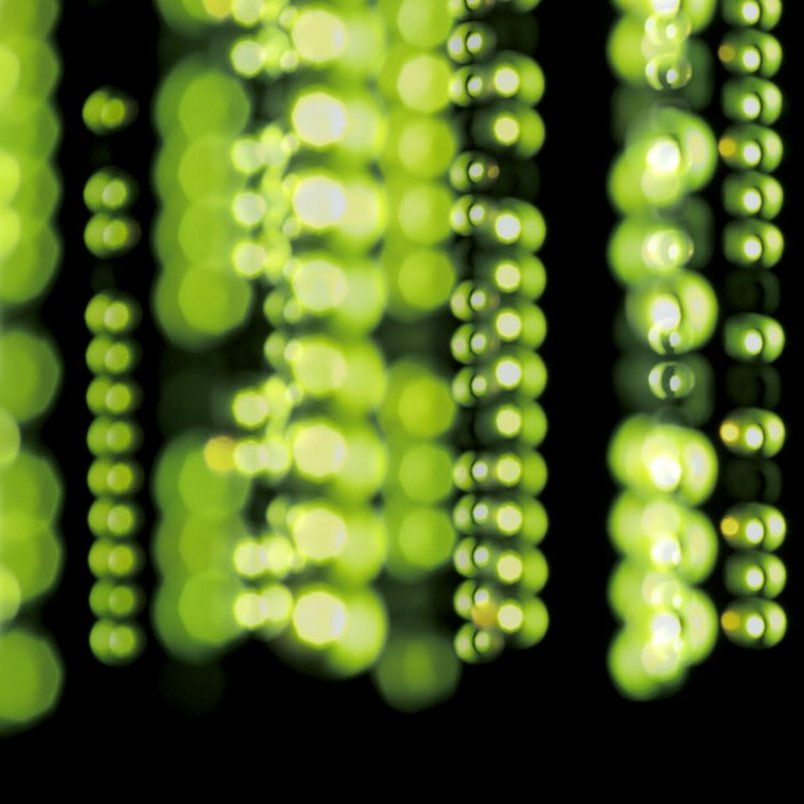 quantum key distribution quantum key distribution - grün auf schwarz