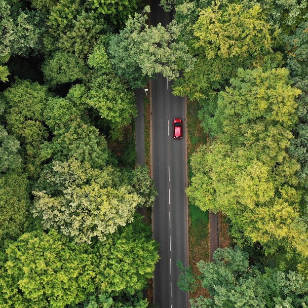 Luftaufnahme: Rotes Auto auf Waldstraße Luftaufnahme einer Straße durch einen dichten Wald mit einem roten Auto