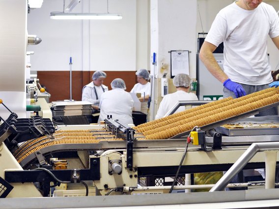 Food Safety in industrial Food Production