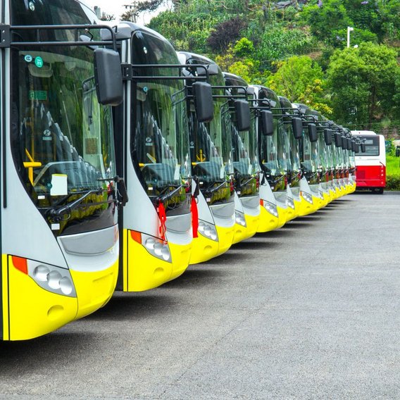 Check buses Several buses in a row