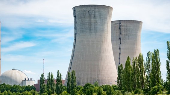 Kernkraftwerk mit Natur im Vordergrund Atomkraftwerk hinter lila Blütenfeld mit türmen und Reaktorgebäude
