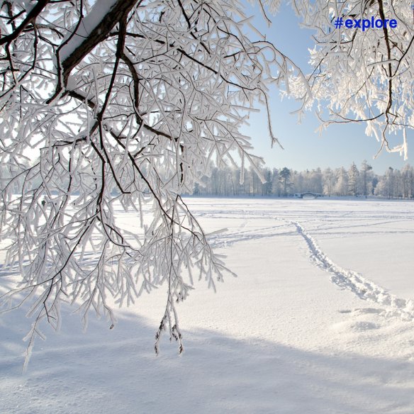 Winterlandschaft mit vereisten Ästen Eine malerische Winterlandschaft mit schneebedeckten Feldern und vereisten Ästen im Vordergrund. Die Sonne scheint hell am klaren blauen Himmel, und im Hintergrund sind Bäume zu sehen.