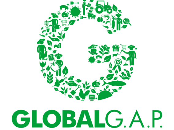 GLOBAL GAP Prüfzeichen Green Testmark issued from Global Gap with illustrated plants in a G and the name global gap below