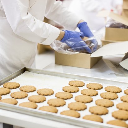 Industrielle Keksproduktion Mitarbeitende verpackt Kekse vom Fließband in eine Schachtel und trägt blaue Handschuhe