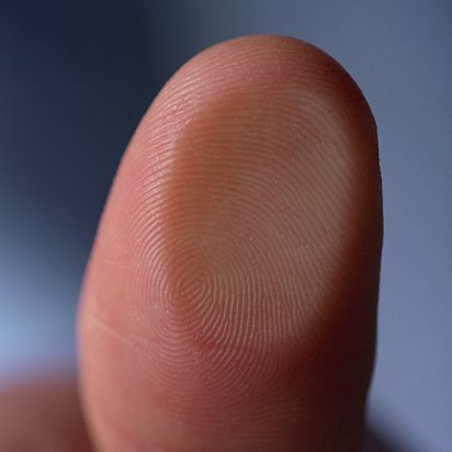 Daumen und Fingerabdruck. Großaufnahme eine Daumens und des Fingerabdruckes.